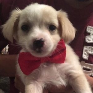 Meet your Posher, Lance